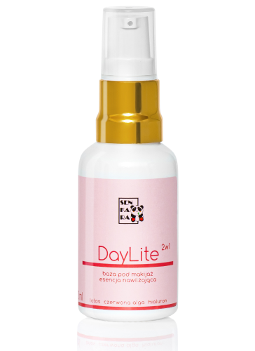 DayLite 2w1